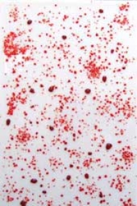 Caha 03,opalescent,weisses Glas mit roten Krösel,ca. 20 x 30 cm
