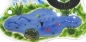 Preview: Glass House Number 8," Pond ",ca. 22 x 22 cm