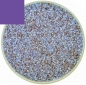 Preview: Optul Glass,float frit,granulate 3,medium,COE 82,transparent,gold violet,code 4015,ca. 1 kg,item number 3590013.