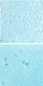 Preview: Optul Glass,float powder,COE 82,light aquamarine,transparent,code 0092,100 g,item number 3592620.Carmen Harusta,Glasinsel ®,Goettingen,Germany.
