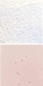 Preview: Optul Glass,float powder,COE 82,Code 4026,illustrations by Glasinsel ® Goettingen.