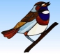 Preview: Stained glass suncatcher,window picture," Bluethroat ",16 x 18 cm,item number 20291,manufactured in our own atelier.Carmen Harusta,Glasinsel ®,Goettingen,Germany.(incident light)