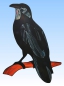 Preview: Stained glass suncatcher,window picture," Raven ",24 x 21 cm,item number 20193,manufactured in our own atelier.Carmen Harusta,Glasinsel ®,Goettingen,Germany.
