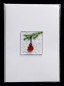 Preview: Folding card and envelope,white,ca. 12 x 17 cm,with Glasinsel® motif " Fir tree with red Christmas ball ",ca. 5 x 5 cm,item number 130001w.Carmen Harusta,Glasinsel ®,Göttingen,Germany.