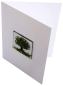 Preview: Folding card and envelope,white,ca. 12 x 17 cm,with Glasinsel® motif " Spring Tree ",ca. 5 x 5 cm,item number 130004w.Carmen Harusta,Glasinsel ®,Göttingen,Germany.