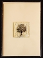 Preview: Folding card and envelope,ivory coloured,ca. 12 x 17 cm,with Glasinsel® motif " Winter Tree ",ca. 5 x 5 cm,item number 130005e.Carmen Harusta,Glasinsel ®,Göttingen,Germany.