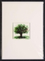 Preview: Faltkarte und Briefumschlag,weiss,ca. 12 x 17 cm,mit Glasinsel®-Motiv " Sommerbaum ",ca. 5 x 5 cm,Artikelnummer 130009w.Carmen Harusta,Glasinsel ®,Göttingen,Deutschland.