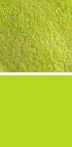 Bullseye fine frit,COE 90,opalescent,spring green,code 0126,ca. 100 g