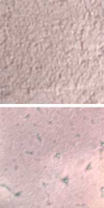 Optul Glass,float powder,COE 82,light violet,transparent,code 0112,1 kg,item number 3589110.Carmen Harusta,Glasinsel ®,Goettingen,Germany.