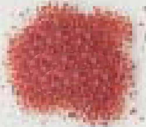 Optul Glass,float frit,granulate 5,coarse,COE 82,extra opaque,red,code 2115,100 g