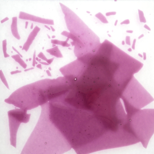 Optul Glass,confetti for float glass,COE 82,transparent,gold violet,code 4015,ca. 100 g,item number 3590050.