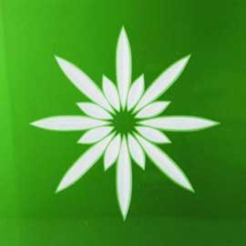 Fries square , ca. 12 x 12 cm , green , " Star "