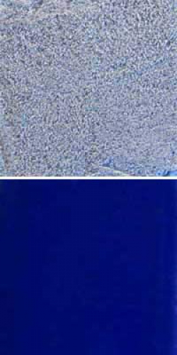 Optul Glass,float powder,COE 82,dark blue,transparent,code 0058,1 kg,item number 3589510.Carmen Harusta,Glasinsel ®,Goettingen,Germany.
