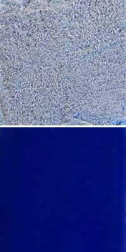 Optul Glass,float powder,COE 82,Code 0058,illustrations by Glasinsel ® Goettingen.