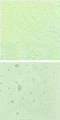 Optul Glass,float powder,COE 82,Code 0072,illustrations by Glasinsel ® Goettingen.