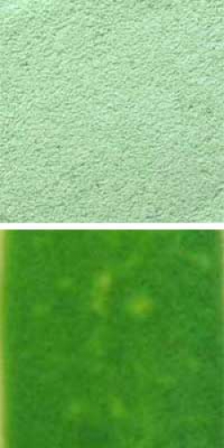 Optul Glass,float powder,COE 82,chrome green,transparent,code 0076,1 kg,item number 3592510.Carmen Harusta,Glasinsel ®,Goettingen,Germany.