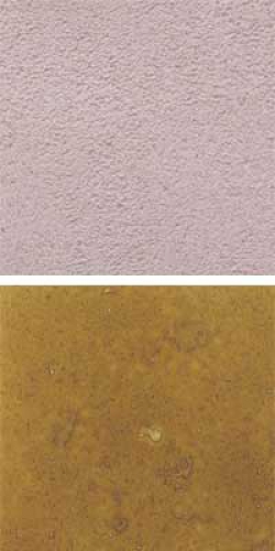 Optul Glass,float powder,COE 82,deer brown,transparent,code 0105,1 kg,item number 3590610.Carmen Harusta,Glasinsel ®,Goettingen,Germany.