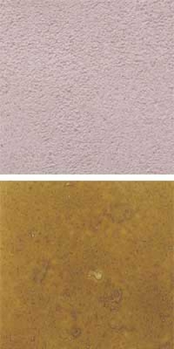 Optul Glass,float powder,COE 82,Code 0105,illustrations by Glasinsel ® Goettingen.