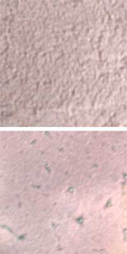 Optul Glass,float powder,COE 82,light violet,transparent,code 0112,1 kg,item number 3589110.Carmen Harusta,Glasinsel ®,Goettingen,Germany.