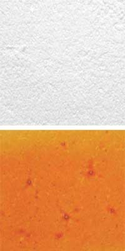 Optul Glass,float powder,COE 82,Code 1065,illustrations by Glasinsel ® Goettingen.