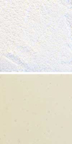 Optul Glass,float powder,COE 82,white,opaque,code 3120,1 kg,item number 3590510.Carmen Harusta,Glasinsel ®,Goettingen,Germany.