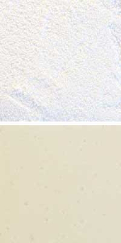 Optul Glass,float powder,COE 82,Code 3120,illustrations by Glasinsel ® Goettingen.