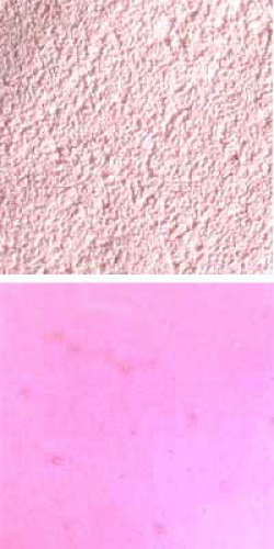 Optul Glass,float powder,COE 82,gold ruby,transparent,code 4005,100 g,item number 3591220.Carmen Harusta,Glasinsel ®,Goettingen,Germany.