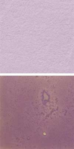 Optul Glass,float powder,COE 82,Code 4025,illustrations by Glasinsel ® Goettingen.