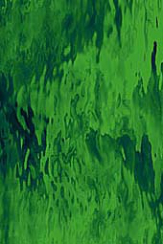 Oceanside Glas,AK 96,Sp 123 W F,Wasserglas,mittelgrün,ca. 20 x 30 cm,Artikelnummer 9700452.