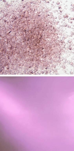 Oceanside Glass,frit,medium,System 96,COE 96,transparent,pale purple,code 1408,ca. 100 g,item number 9670912.