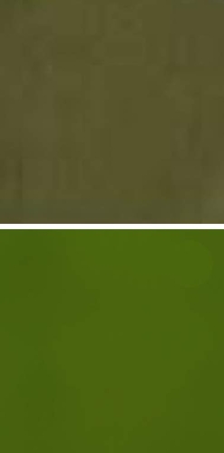 Oceanside Glass,powder,System 96,COE 96,opalescent,olive green,code 782,ca. 240 g,item number 977951024.