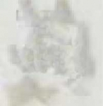 Optul Glass,confetti for float glass,COE 82,opalescent,white,code 3100,ca. 100 g,item number 3590950.