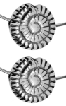 Zwischenteile,Ethno-Stil,925er Sterling Silber,Schnecken,Ø ca. 14 mm,2 Stücke,Art.Nr. 3827-2.